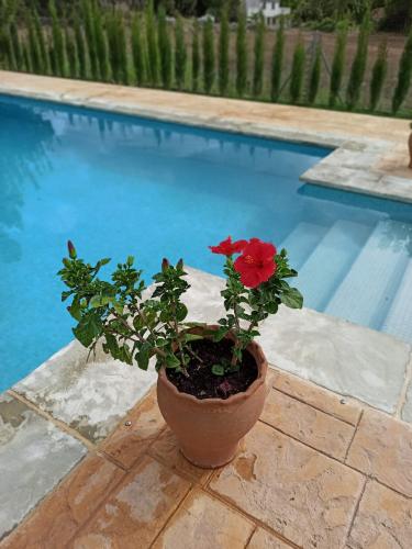 Casas Rurales Majana 1