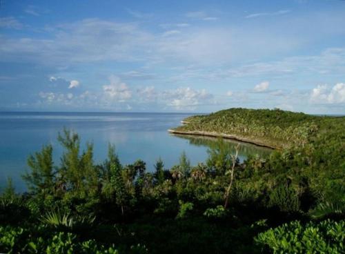 Beside the Pointe cottage in Eleuthera