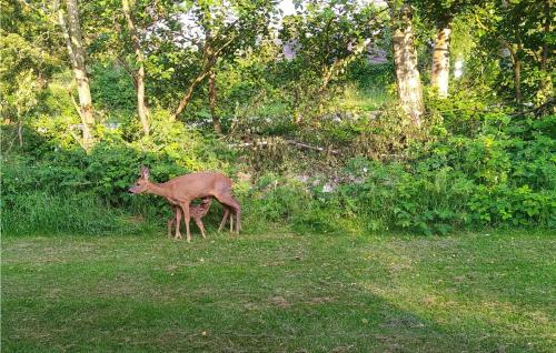 Exterior view, Holiday Home Bæverstien Iii in Idestrup