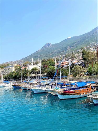 Villa Icon – Kalkan, NJ