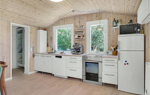 Kitchen, 1 Bedroom Beautiful Home In Vig in Hojby