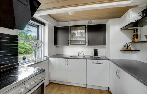 مطبخ, Holiday Home Svanevænget Hemmet Ii in Hemmet