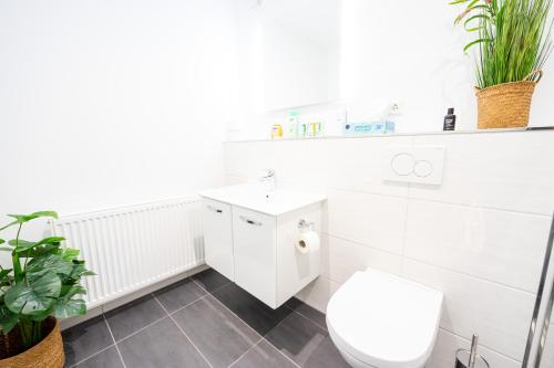 Two-Bedroom House image 10