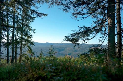 Branas Holiday Home in Syssleback