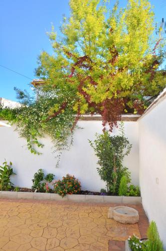 Casa Limon Patio y Parking, Granada (fotografie 7)