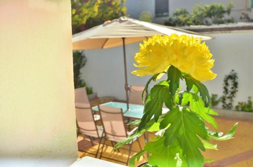 Casa Limon Patio y Parking, Granada (fotografie 9)