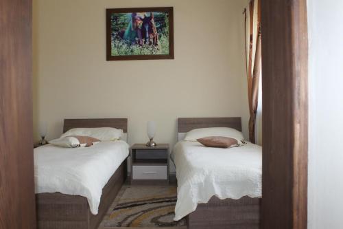 Rooms & Apartment Vinia, Bjelovar (foto 2)