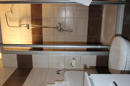Rooms & Apartment Vinia, Bjelovar (foto 6)