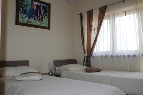 Rooms & Apartment Vinia