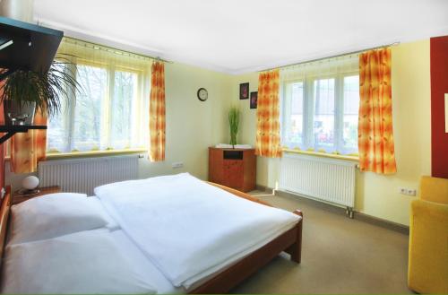 penzion Horácko (penzion Horacko) in 比斯特雷