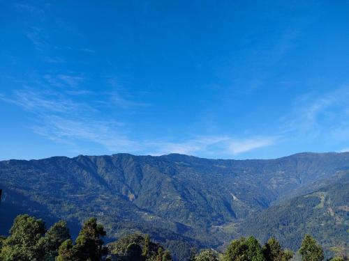 Prakriti Homestay in Lower Mamring Khasmahal