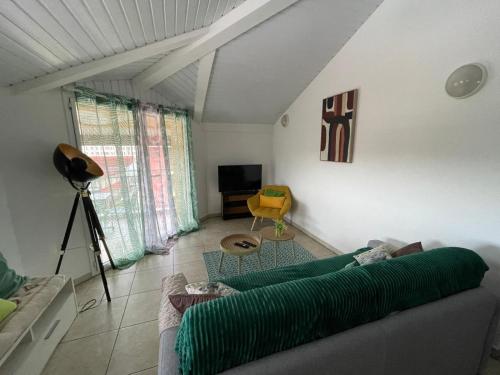 NANA - A 44 - Vue Panoramique- Grand Appartement Cosy et Lumineux- Cuisine équipée-WIFI-CLIM-Terrasse, Cayenne (foto 6)
