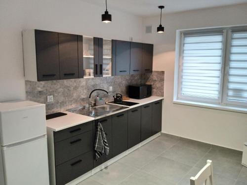 Apartamenty Przy Rynku Gąsawa/Biskupin (Apartamenty Przy Rynku Gasawa/Biskupin) in Gasawa