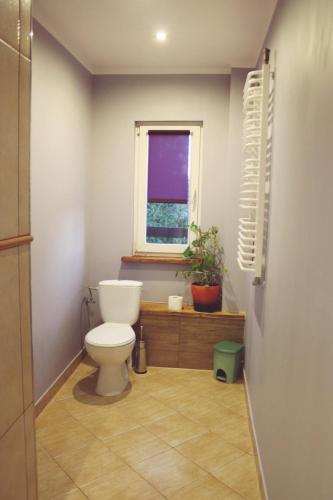 Basic Triple Room with Shared Bathroom