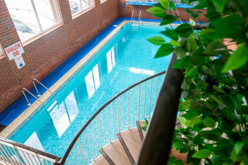Uitzicht, Palm Court Hotel                                                                 in Great Yarmouth