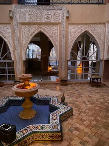 Riad Olive Trees
