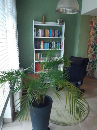 Our Lily House, een gezellig familiehuis in rustige omgeving gîte à louer Wulgebroek