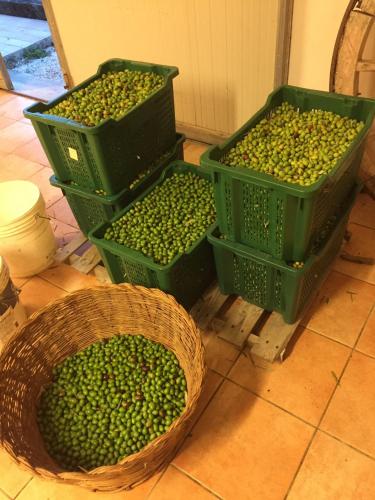 Food and beverages, Casa Baldoni in Matelica