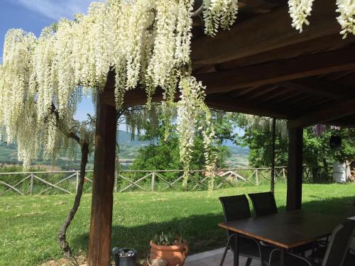 Facilities, Casa Baldoni in Matelica