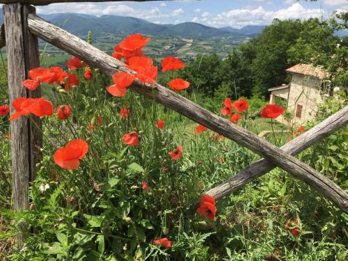 Surrounding environment, Casa Baldoni in Matelica