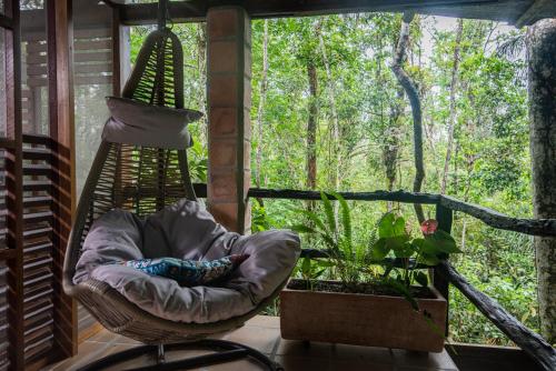Terrazzo/balcone, Jamu Lodge in the Cuyabeno Wildlife Reserve in Cuyabeno