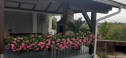 Apartman MELANI