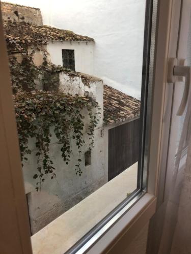 Sant Vicent 35 in heart of Old town 5