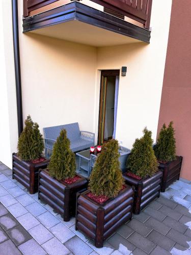 Apartman Popovic in ราซัดนิก