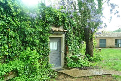 La Cannara - image 2