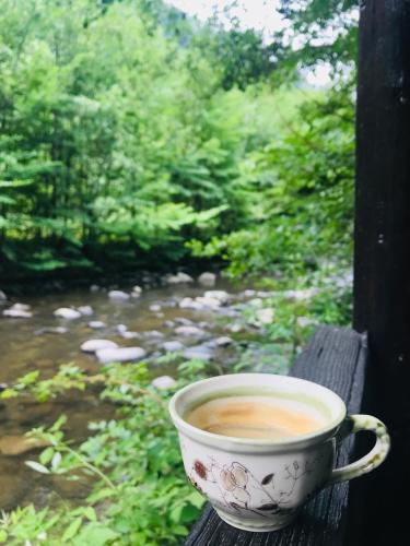. Cottage by the river Valea Draganului