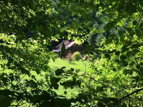 Cottage by the river Valea Draganului