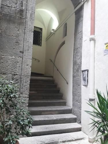 Casetta Nova, Neapel (Foto 8)