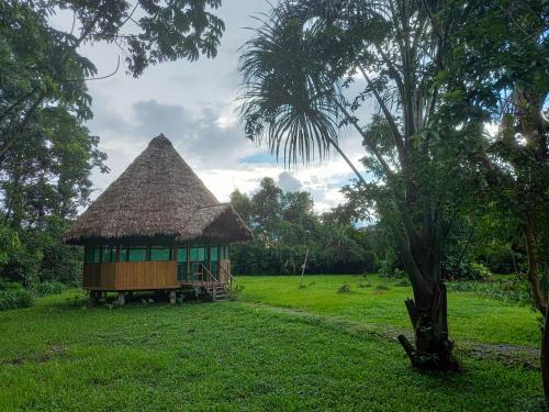Wandari Lodge in Pillcopata