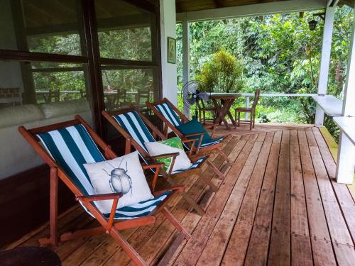 Wandari Lodge in Pillcopata