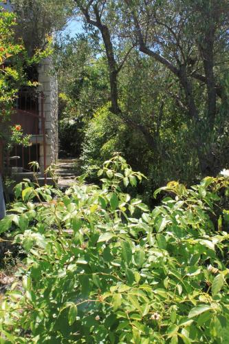 Apartment Valun 386a - image 4