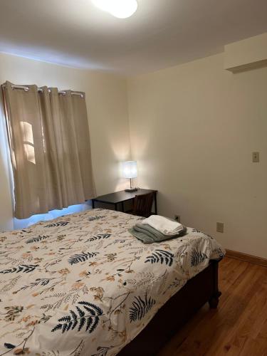 M1 Queen Size BedRoom with desk near Rutgers U & hospitals