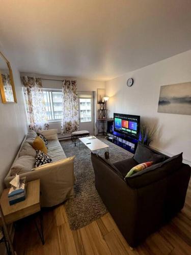 Cozy 1 BR in Downtown Montreal