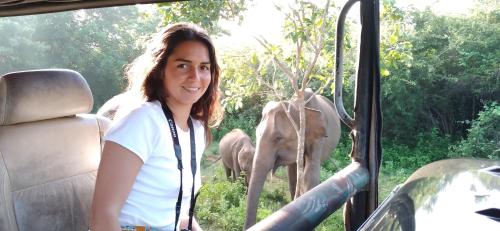 Tusker's Paradise Safari Villa