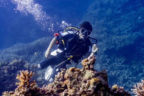 Reconnect - Private Island Resort & Dive Center Togean - Buka Buka Island