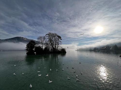 Logis hôtel Annecy nord / Argonay - image 4