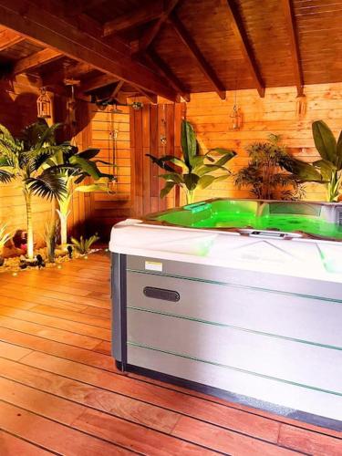 Tropical Spa gîte à louer Bauvin