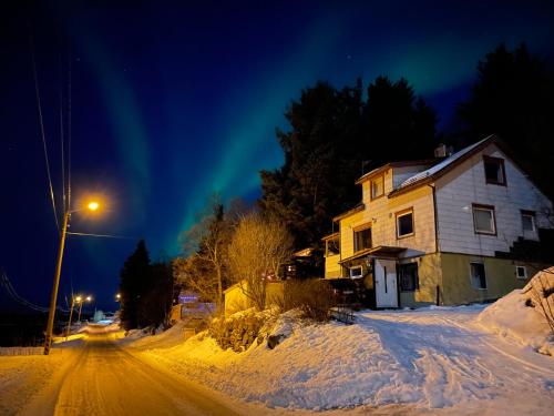 Senja Skaland - Melkarhola