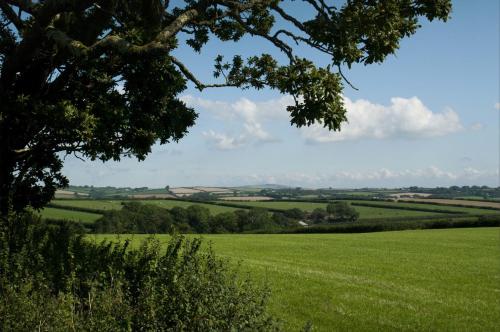 Tregondale Manor Farm