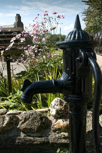 Tregondale Manor Farm - image 5