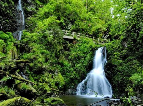 Sports and activities, Landhotel Tanneneck (Dogfriend) in Loffingen