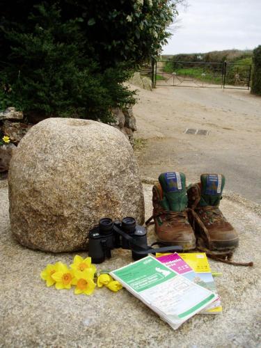 Tregondale Manor Farm - image 2