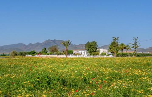  Exceptional Rico´s Country Retreat Almendricos in Puerto Lumbreras