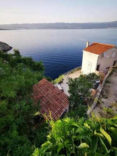 Vila Verbana Apartments - Chambre d'hôtes - Vrbnik