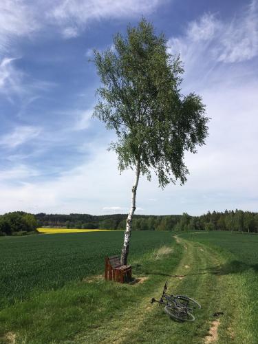 Apartmány U Hadiny