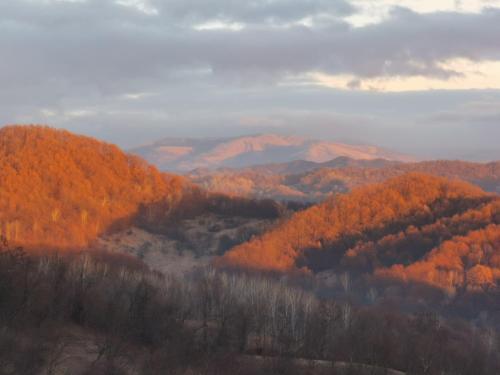 Cabanuta Fara Fite Cabanuta Fara Fite